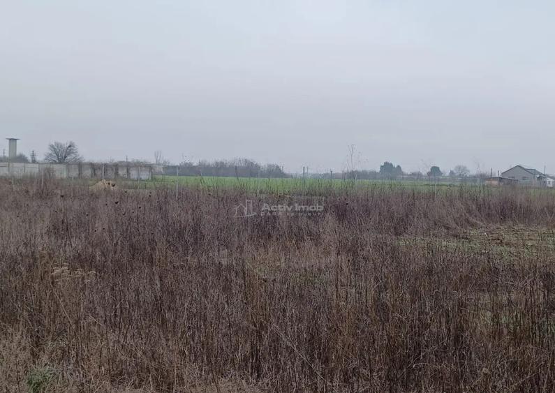 Teren Corbeanca- Balotesti Strada Trei Lacuri - 7