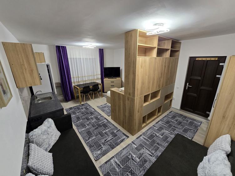 Garsoniera / studio de inchiriat in casa/vila zona case Banat - 5