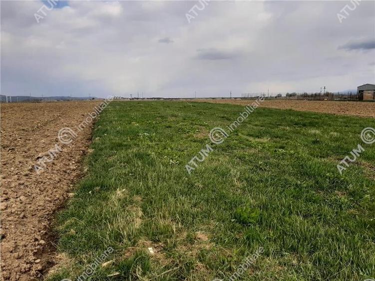 eren intravilan 1400 mp de vanzare pe Valea Avrigului - 3