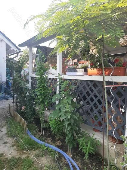 Casa de vanzare Sannicolau Mare - 7