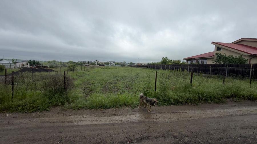 Teren de vanzare 1000 MP Galati Aleea Teilor (Zona Arcasilor) - 8