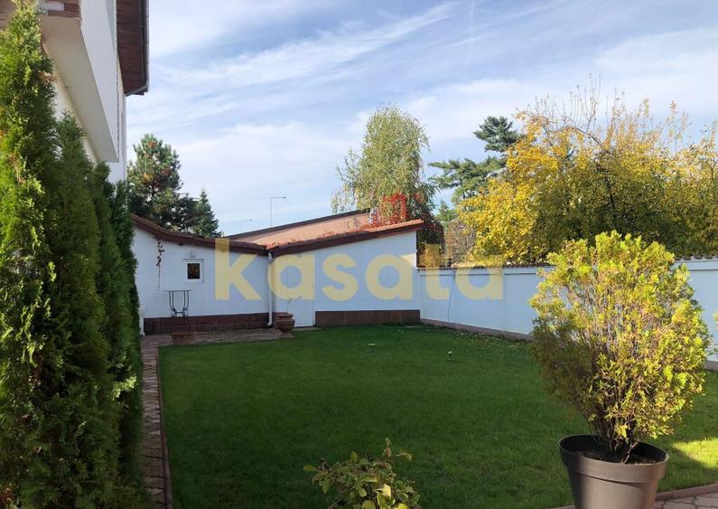 Vila deosebita 11 camere Erou Iancu Nicolae - 15