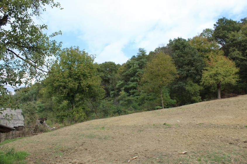 Casa si teren 5.000 mp, Stroesti - 11