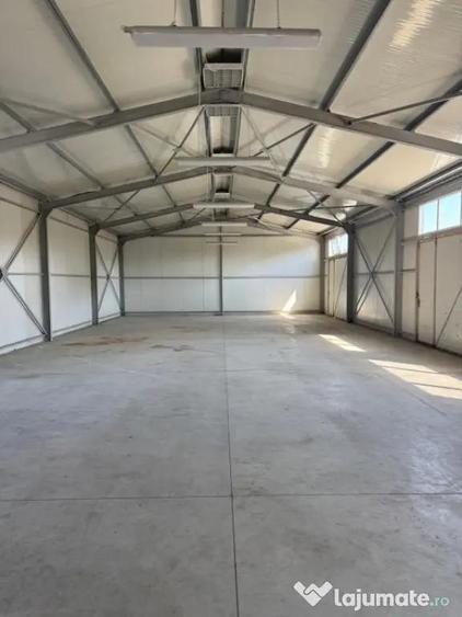 Spatiu comercial 280 mp + 700 mp curte, Filiasi - 12