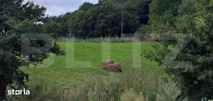 Oportunitate! Teren intravilan autorizabil 1100 mp, front 25 m, Baciu- - 4