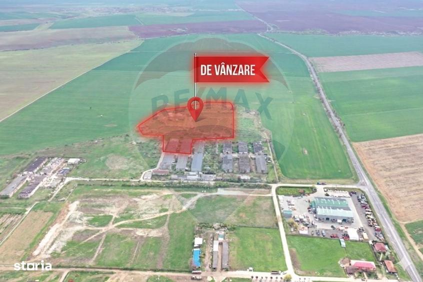 Teren intravilan 3.2 ha | Ortisoara | Zona industriala/agrozootehnica - 2