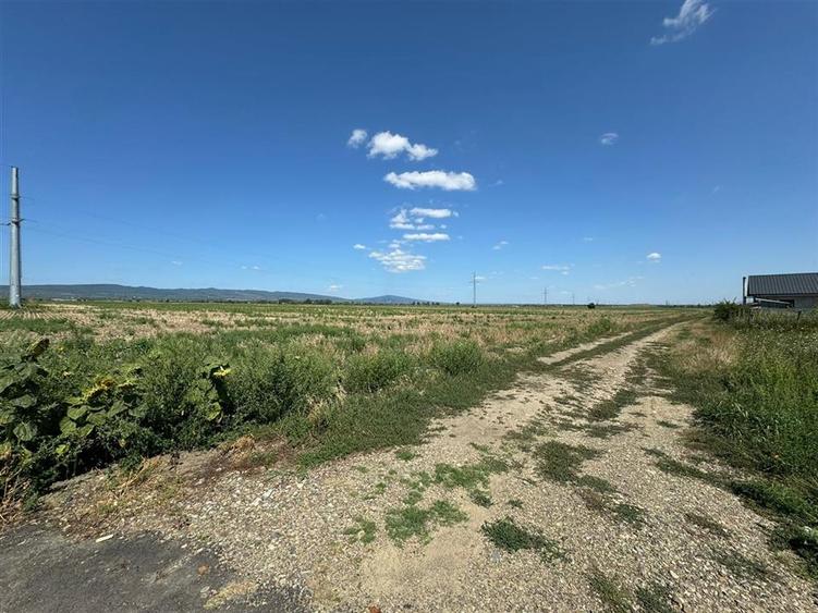 Teren in Golesti 9.848mp intravilan + extravilan  pret 6 euro / mp - 6