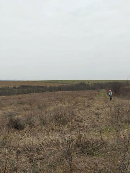 Teren 12 ha DN11A Podu TurculuiCabesti/ideal ferma,hale,fotovoltaic - 3