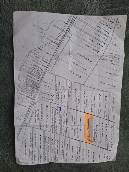 Vand teren estravilan 23 August - 2