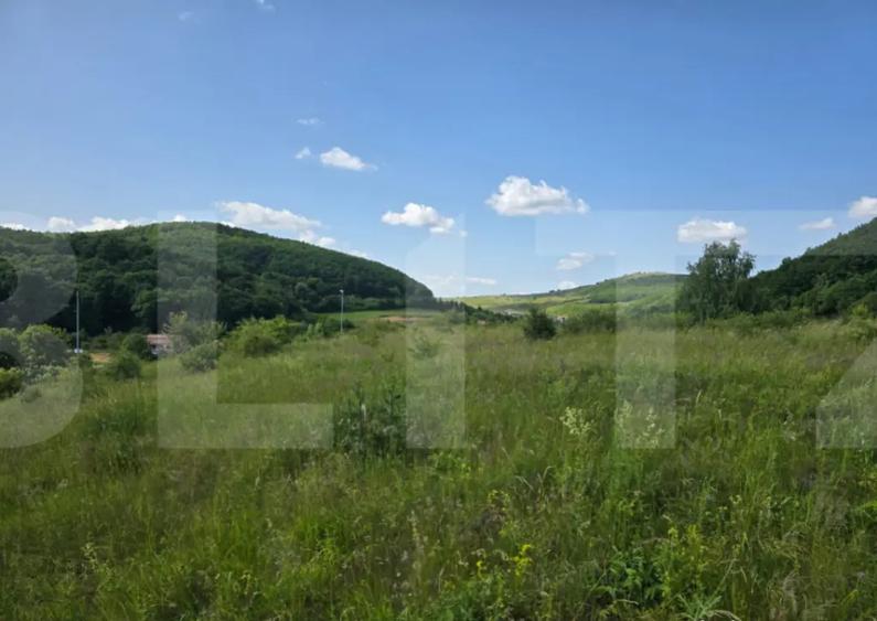 Teren de investitie in localitatea Ciurila - 4