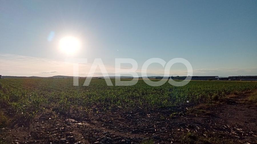 Teren intravilan 2 ha deschidere drum zona Industriala Vest Sibiu - 5