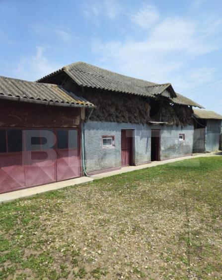 Oportunitate de achizi?ie Casa tradi?ionala, ideala - 13