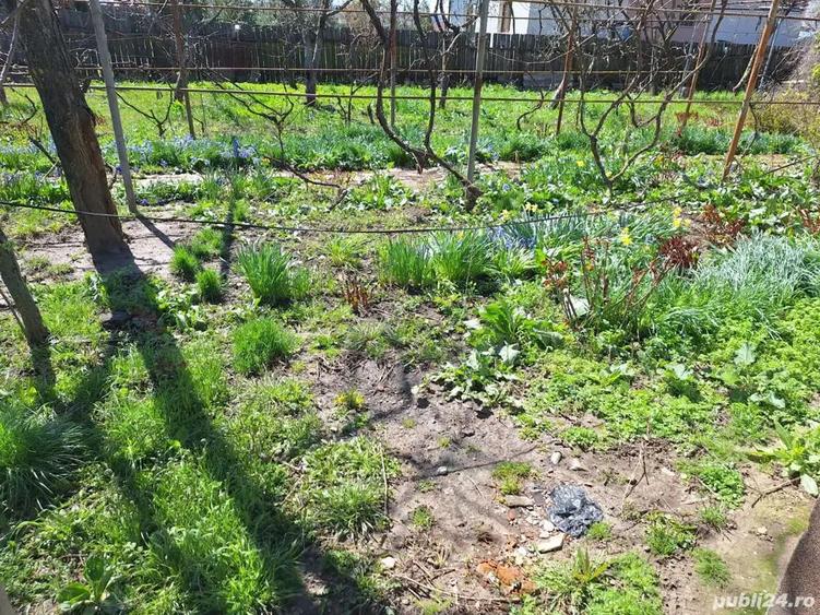 A5 Vila Calea Moine?ti spre vanzare - 1