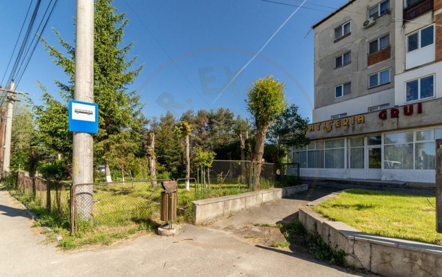 Inchiriere spatiu de depozitare 247 mp, curte 158 mp, Campul - 5