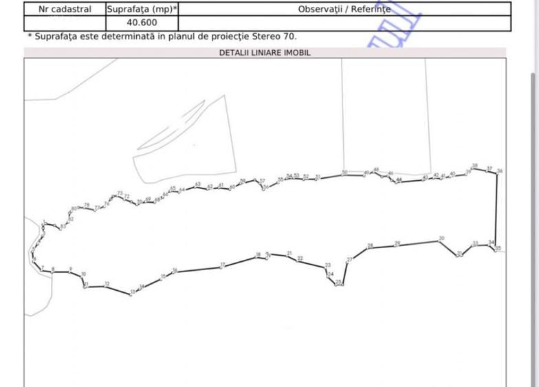 Teren extravilan, 4 hectare, langa livada de mere Ghinda - 4