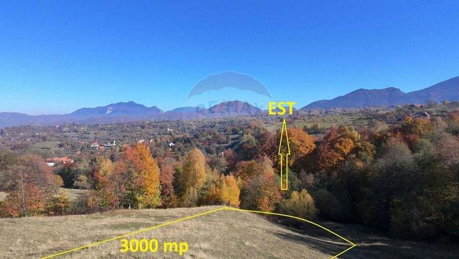 Teren 3,500mp Bran / Strada Bradul Inalt - 7