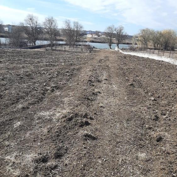 Teren de vanzare la Lac, Corbeanca - 3