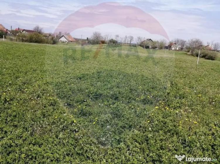 De vanzare teren intravilan, 6574 mp in Le? - 5