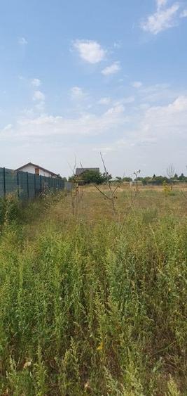 Teren intravilan Adunatii Copaceni-Mogosesti - 1