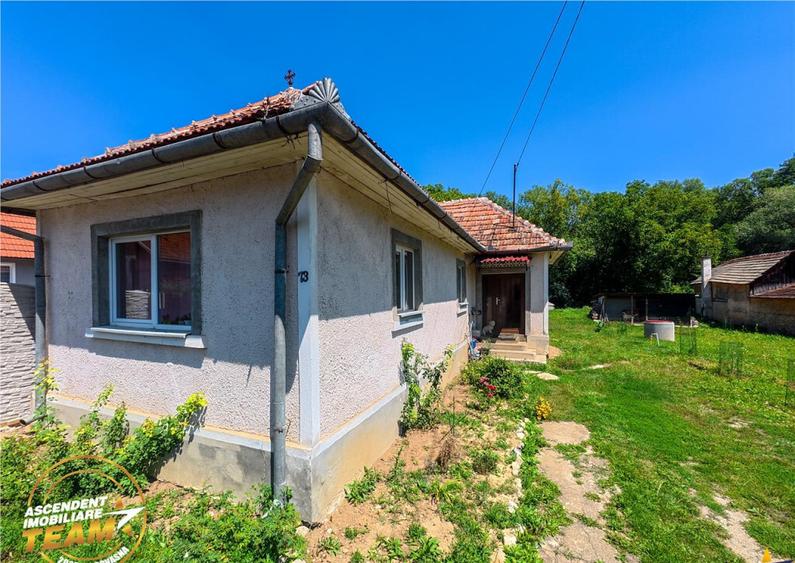 Casa luminoasa de 107 mp, 1.000mp teren, 250 m de izvorul cu - 32