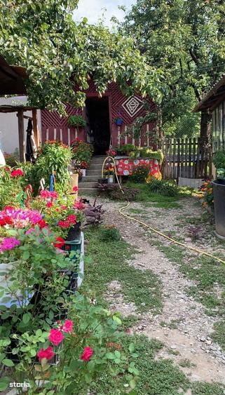 Casa batraneasca de vanzare, Gemenea Bratule?ti, Com Voine?ti - 3