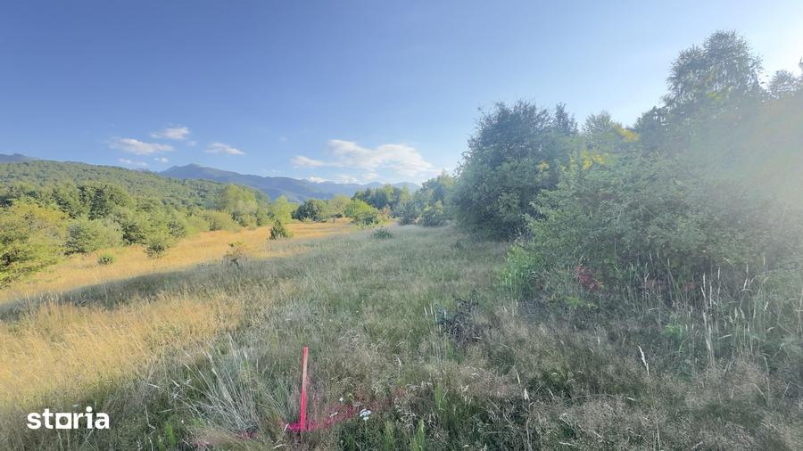 Teren de 1700 mp, în Cârțișoara