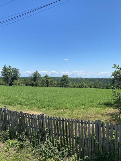 Proprietar, Vand teren intravilan 16600 mp, parcelabil, Comuna Cocu, Arges - 6
