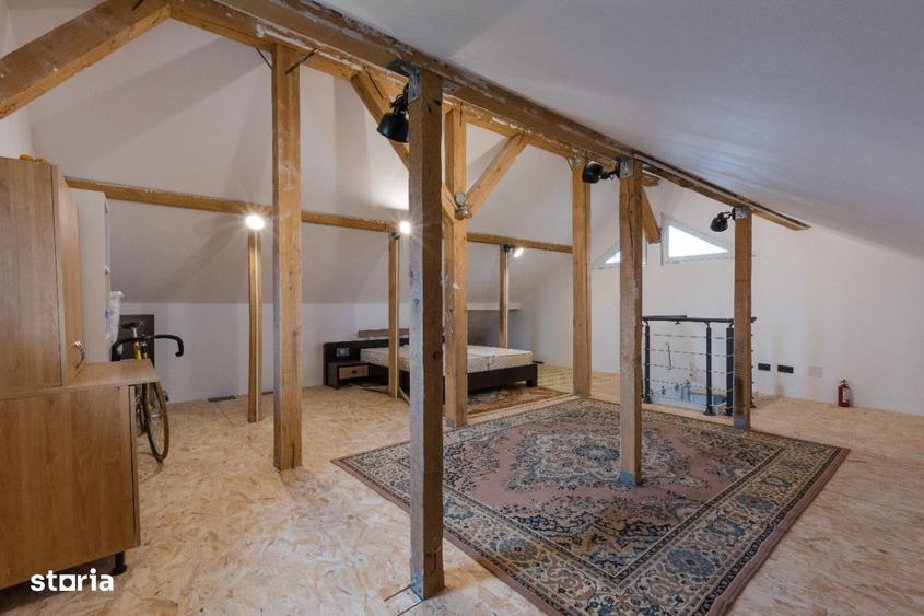 Casa 3 camere Ghermanesti Snagov - 37
