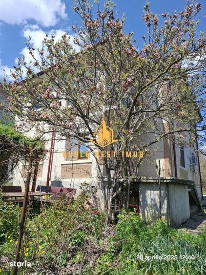 Vila 7 camere, Strada TRIVALE, Teren 1150 mp - COMISION 0% - 3