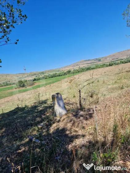Teren de 5008 mp, în Iara