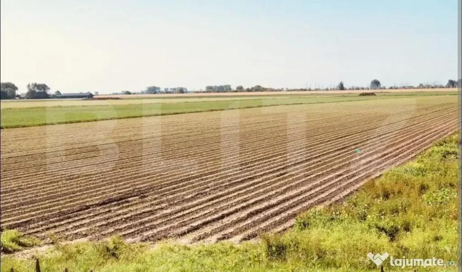 Teren arabil de vanzare, 30.000 mp - Bethausen - 1