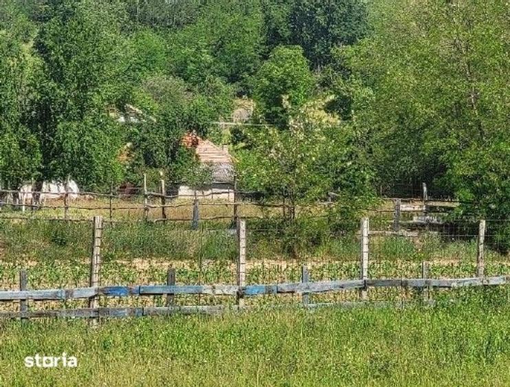 Teren de 1743 mp, în Tisău