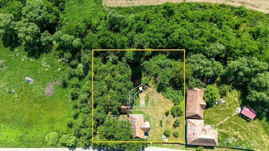 Casă cu Teren 1368 Mp în Livada (Petreștii de Jos)