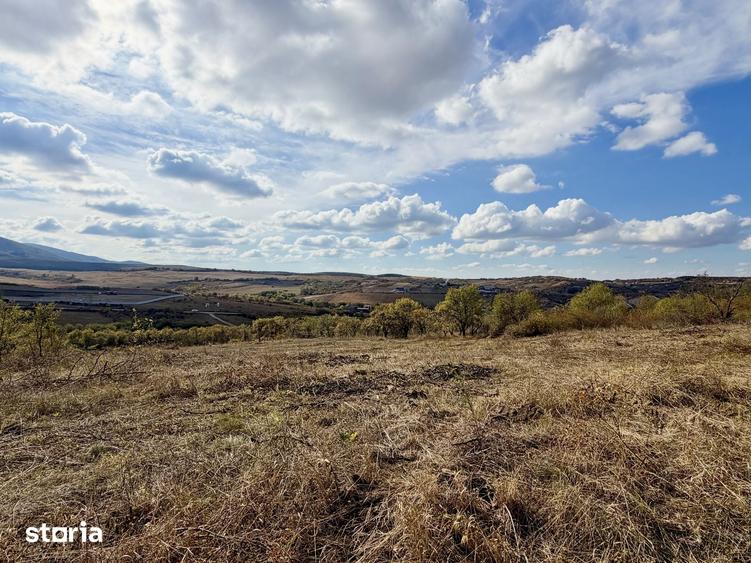 Teren de 6900 mp, în Central