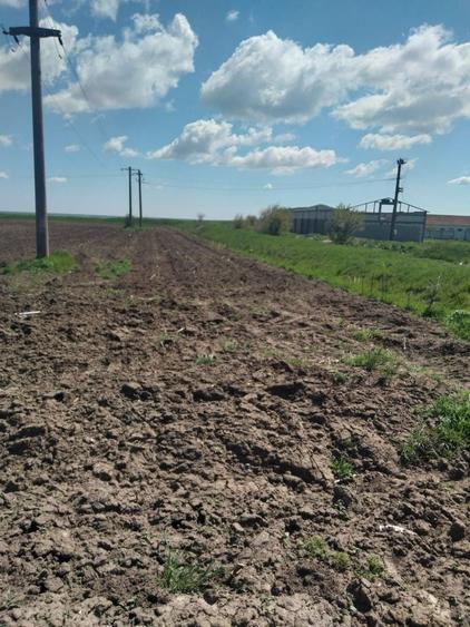 Vand teren extravilan Kogalniceanu - 1