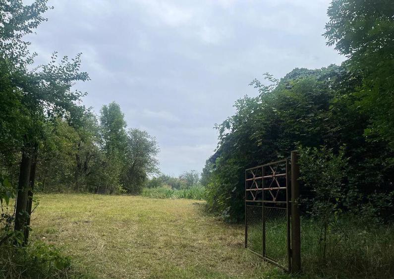 De vanzare teren intravilan, 2352 mp, Pachia, Covasna! - 4