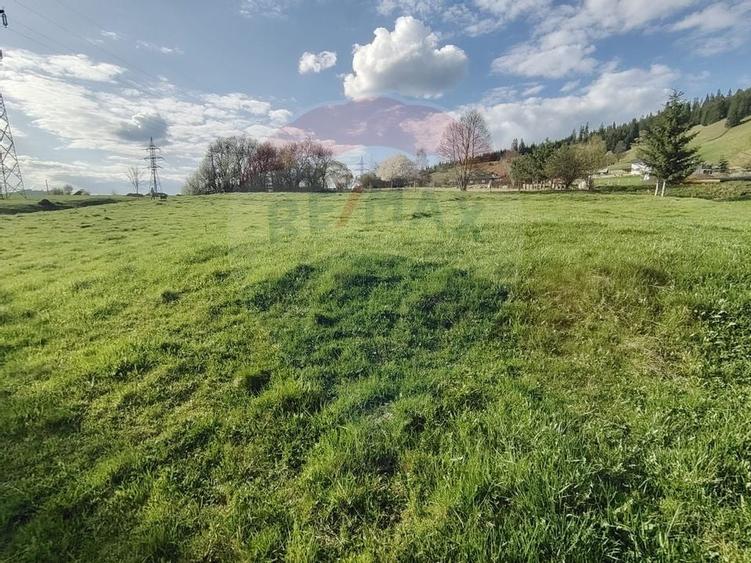 Teren 2,421mp Vatra Dornei / Strada Chilia - 9