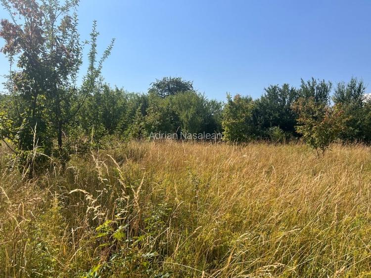 Teren cu PUZ zona strazii Macesului, ideal constructie casa