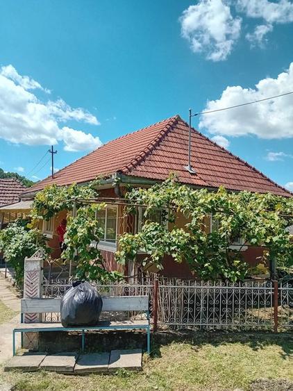 Vand casa la tara - 6