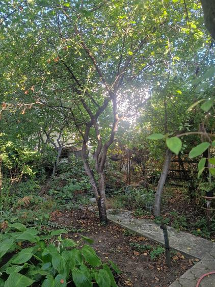 Eroii Revolutiei -  Casa  locuibila - teren 363 mp - deschidere 20.71 mp - P+1E - 16