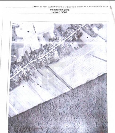 Com GRUIU_Reprezentare exclusiva_TEREN EXTRAVILAN LANGA PAD - 2