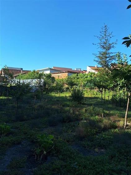 Reco, Casa Oradea Central - 4