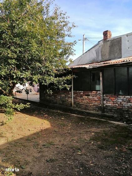 Casa De Vanzare LACUL TEI - 15