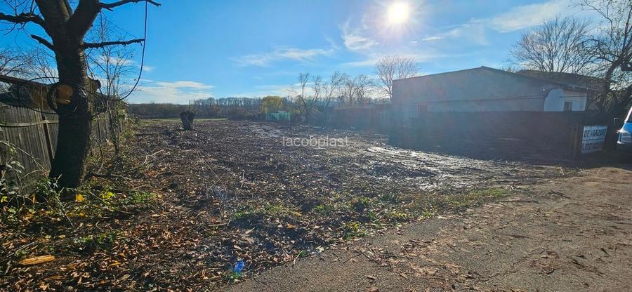 Teren de vanzare Snagov