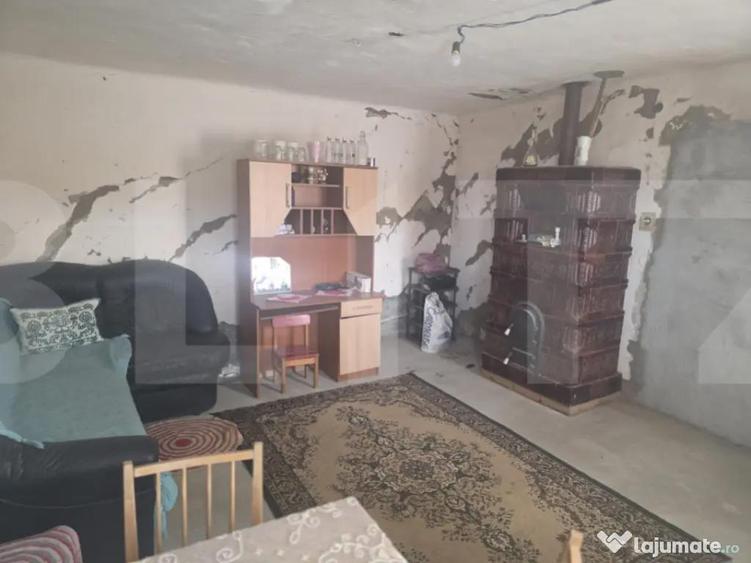 Casa taraneasca in inima naturii - 2