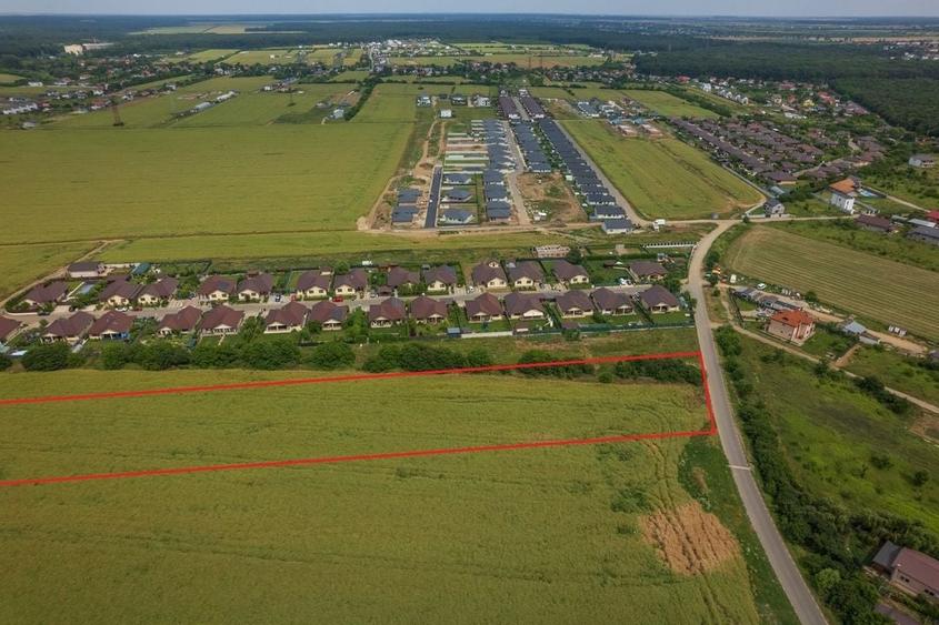 Teren intravilan, Balotești, Strada Cameliei 36, 10.000 mp - 4