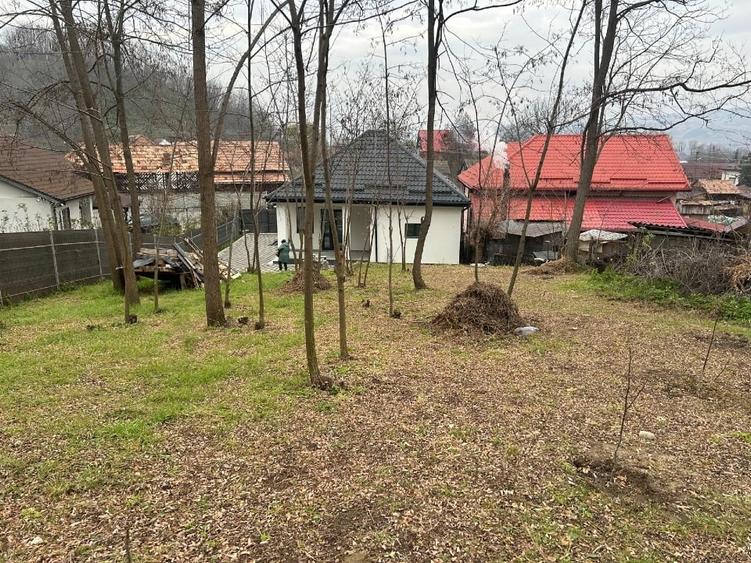 Casa si teren în zona de munte - 9