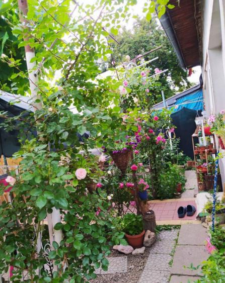 Casa Mihai Bravu -Calea Vitan - 4