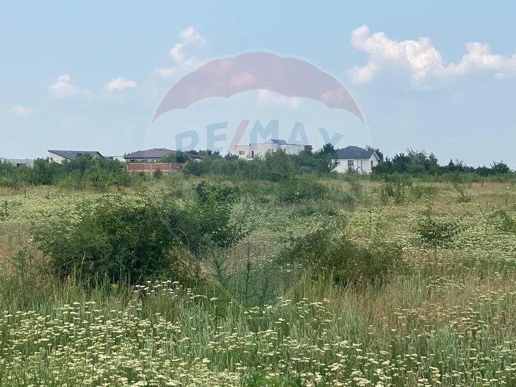 DE VANZARE Teren intravilan 600mp Drumul Piscul Mosului SISESTI - 14