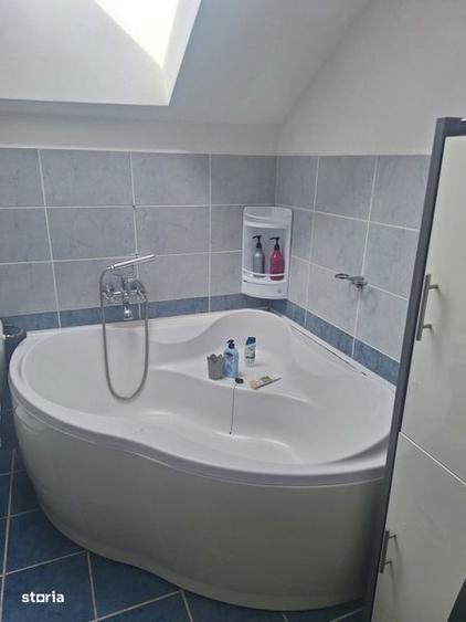 Casa de inchiriat in Sura Mare - 3